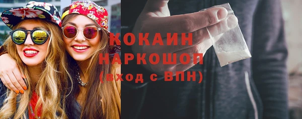 молекула духа Покров