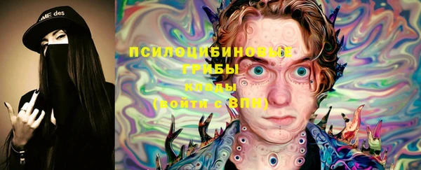 молекула духа Покров