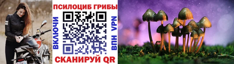 Купить закладки  Энгельс  Псилоцибиновые грибы Magic Shrooms 